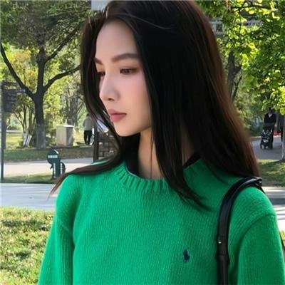 公民哈维尔